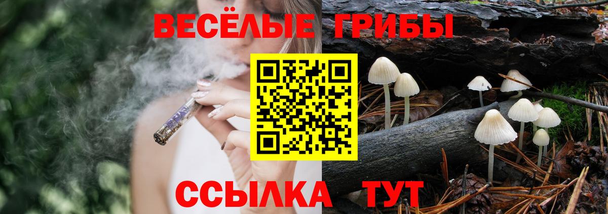Галлюциногенные грибы Cubensis  Галлюциногенные грибы Psilocybine cubensis  Алексеевка  Вход с VPN 
