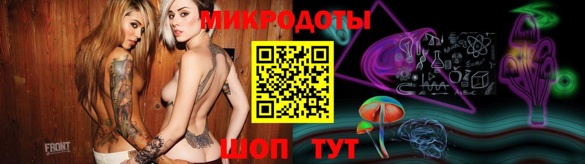 Псилоцибиновые грибы Psilocybe Алексеевка